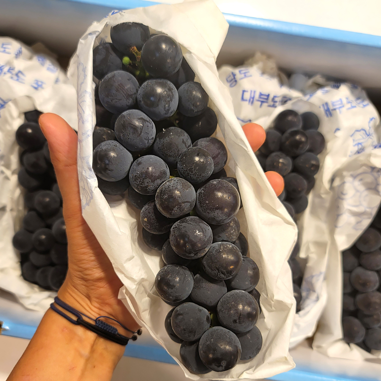 국산 캠벨포도 1kg