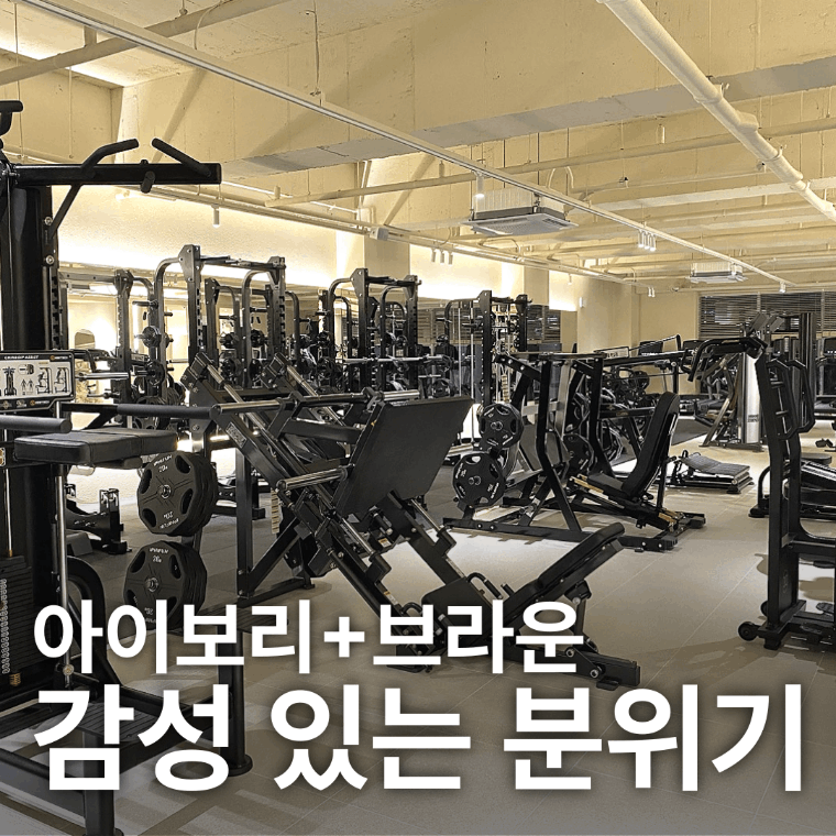 짐91 진주혁신점