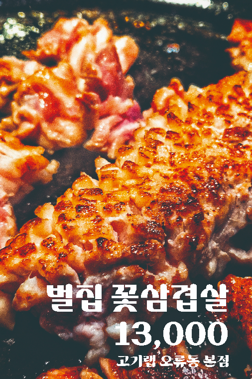 고기랩 오류점