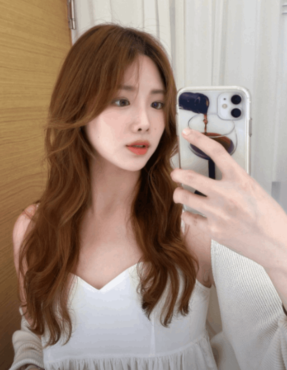 차심 양재