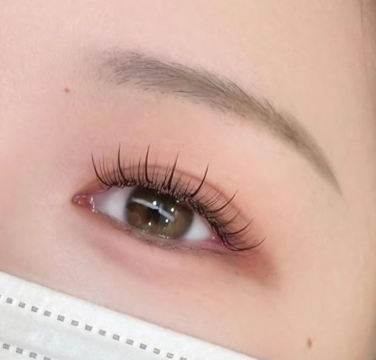 아이홀릭속눈썹