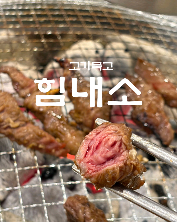 힘내소