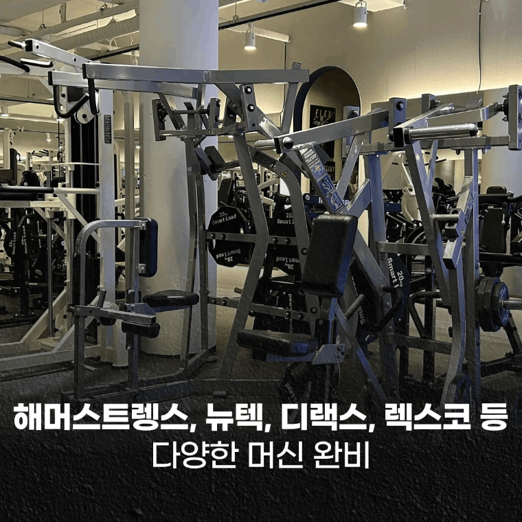 런던짐 프리미엄 헬스/PT