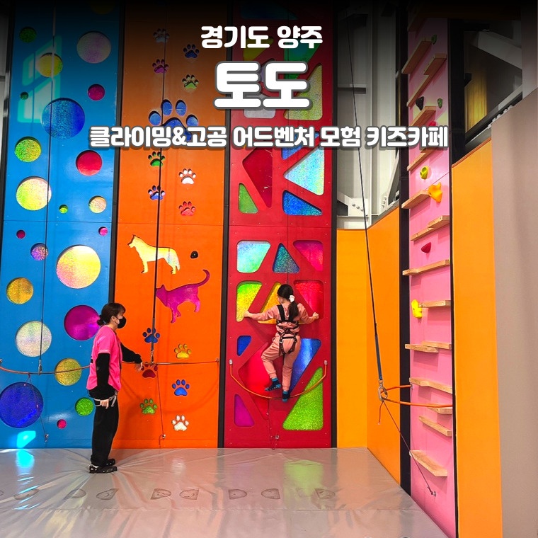 토도